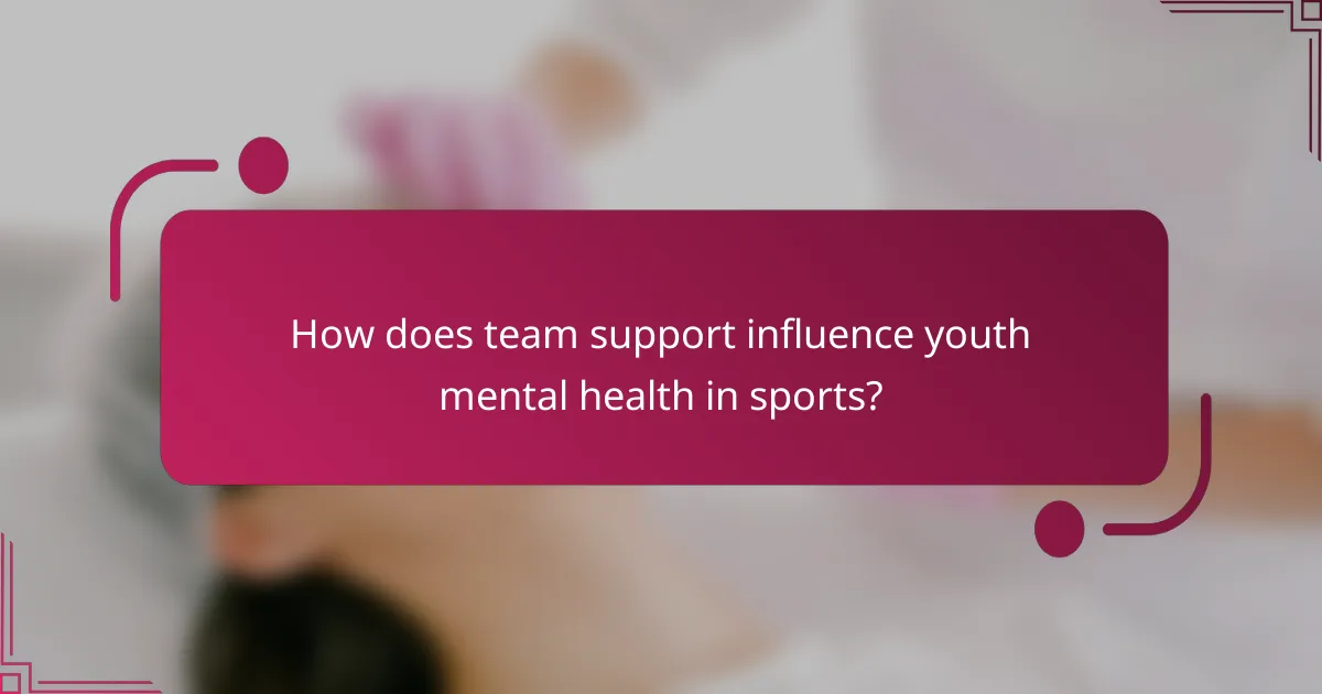 How does team support influence youth mental health in sports?