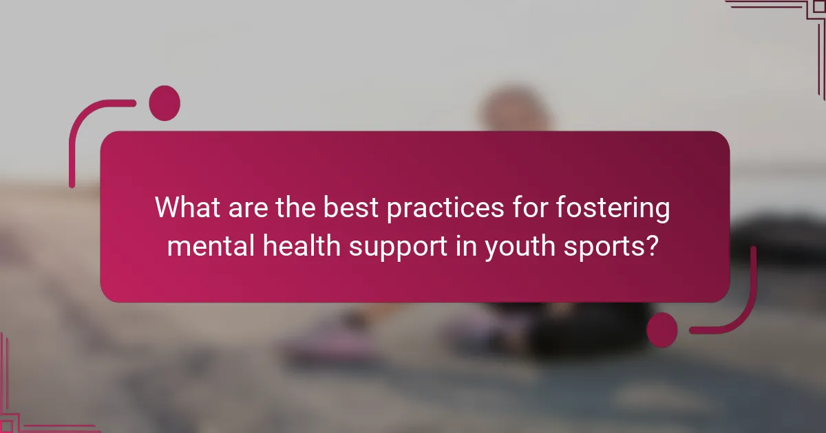 What are the best practices for fostering mental health support in youth sports?