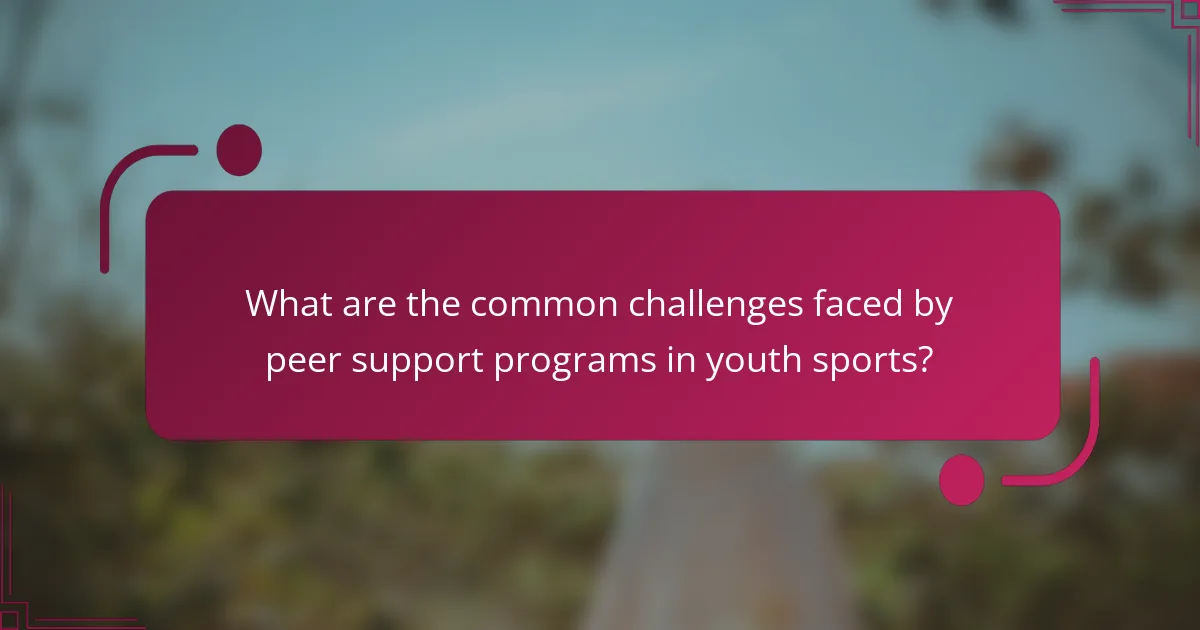 What are the common challenges faced by peer support programs in youth sports?