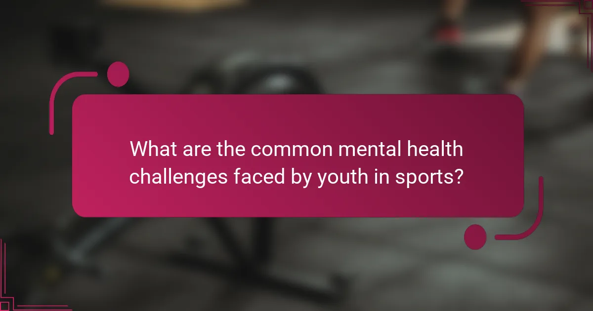 What are the common mental health challenges faced by youth in sports?
