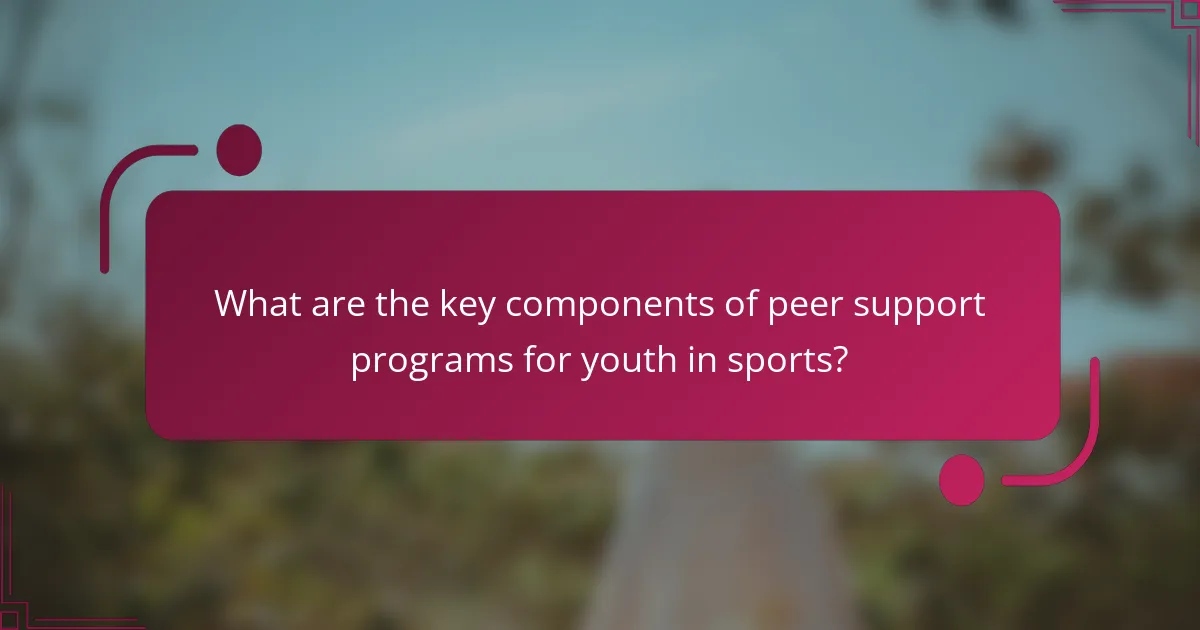 What are the key components of peer support programs for youth in sports?