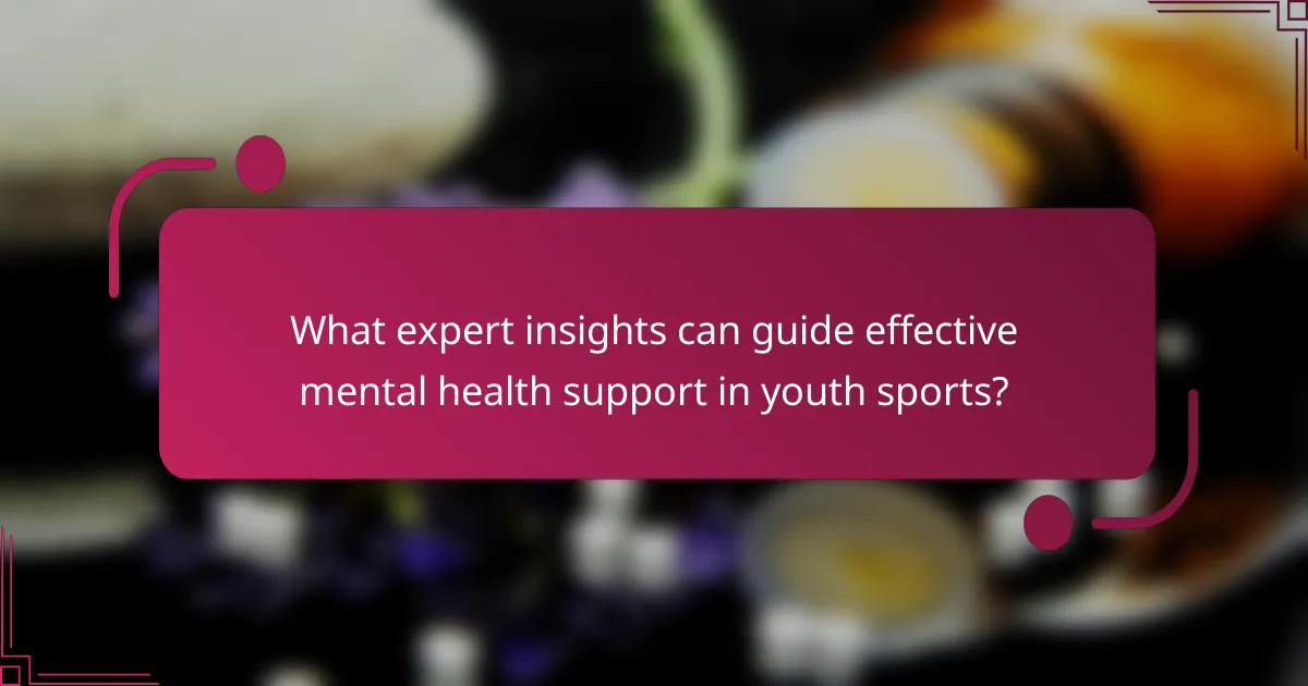 What expert insights can guide effective mental health support in youth sports?