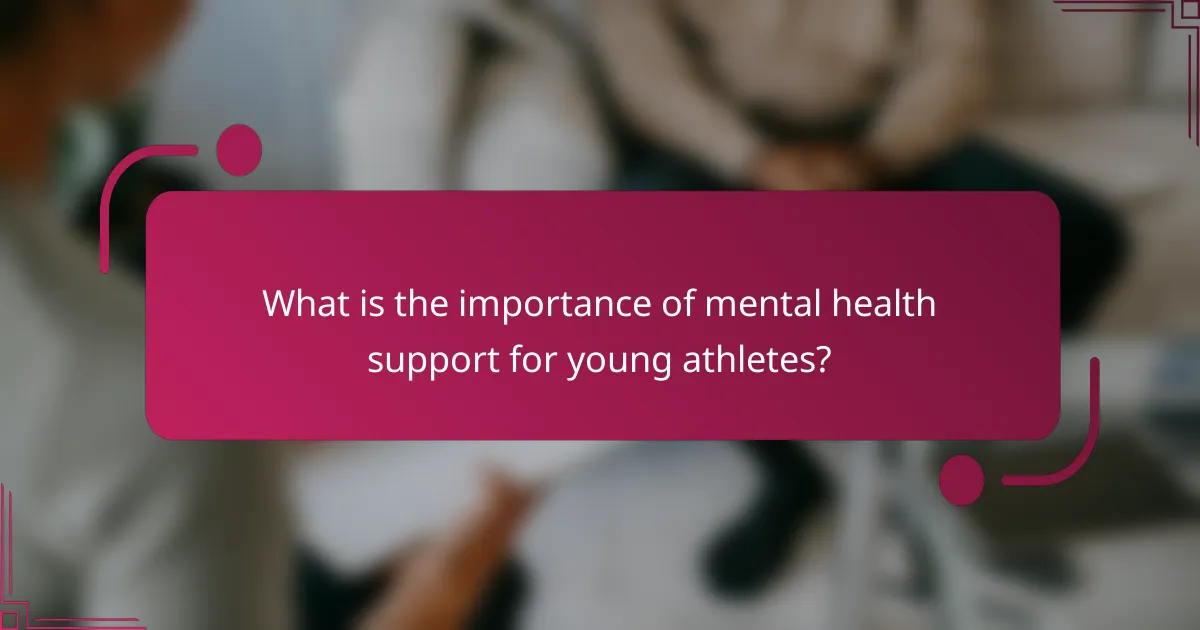 What is the importance of mental health support for young athletes?