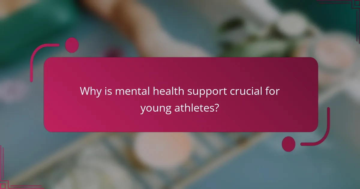 Why is mental health support crucial for young athletes?